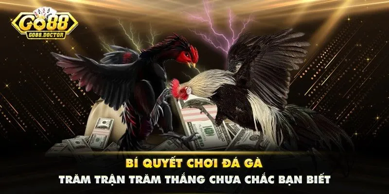 Bí Quyết Chơi Đá Gà Trăm Trận Trăm Thắng Chưa Chắc Bạn Biết