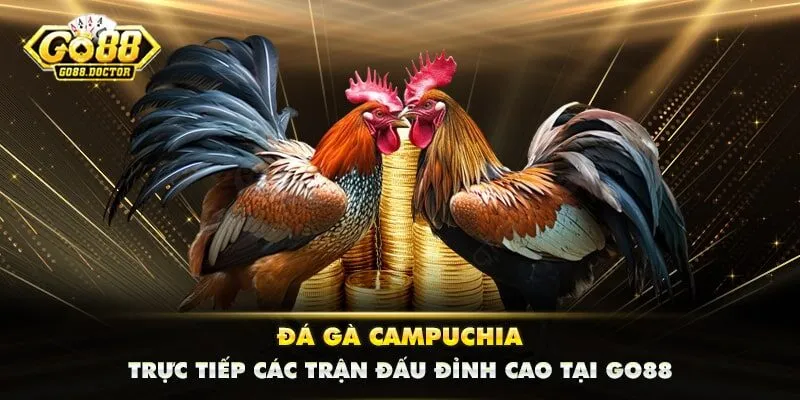 Đá Gà Campuchia - Trực Tiếp Các Trận Đấu Đỉnh Cao Tại GO88