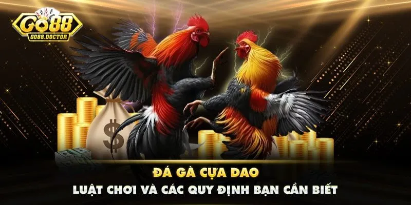 Đá Gà Cựa Dao - Luật Chơi Và Các Quy Định Bạn Cần Biết