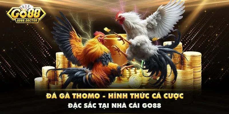 Đá Gà Thomo - Hình Thức Cá Cược Đặc Sắc Tại Nhà Cái GO88